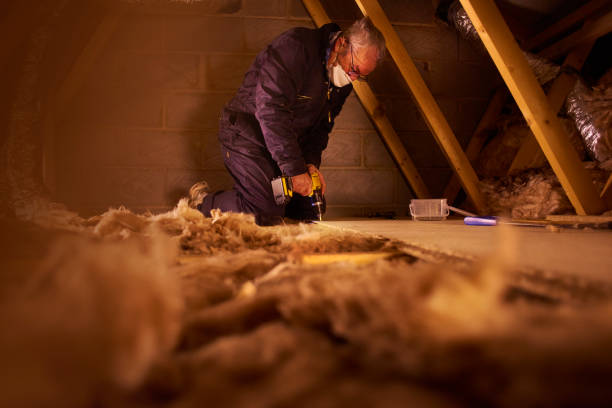 Best Commercial Insulation in Dermott, AR