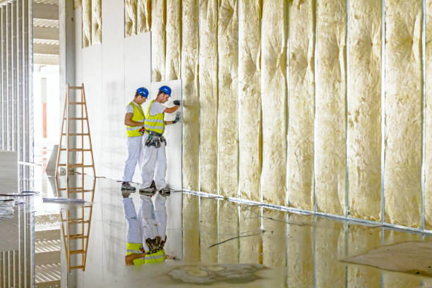 Best Insulation for Specific Applications in Dermott, AR